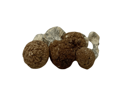 JEDI MIND FUCK - PSILOCYBIN MUSHROOMS - Image 3