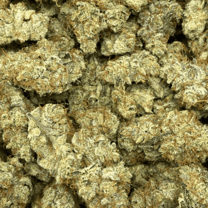 YUZU (UNLICENSED PRODUCER) (EXOTIC) - Image 2