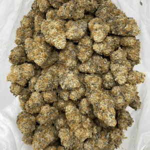 LOVE (EXOTIC) (HEAVY PIGEON) - Image 3