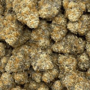 LOVE (EXOTIC) (HEAVY PIGEON) - Image 2