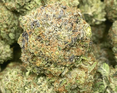 PINK SNOWBALL (MEGA GAS DEAL) - Image 1