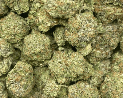PINK SNOWBALL (MEGA GAS DEAL) - Image 2