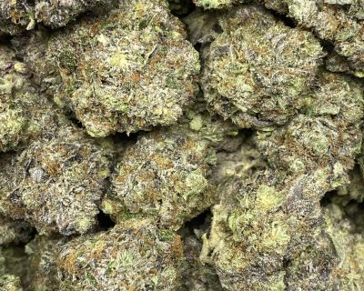 PINK DYNAMITE (MEGA GAS) - Image 2