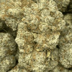 STRAWBERRY GLUE (EXOTIC) - Image 1