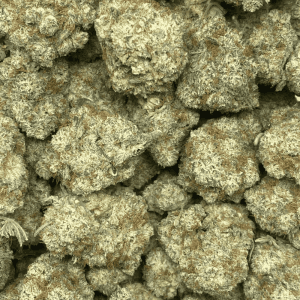 STRAWBERRY GLUE (EXOTIC) - Image 2