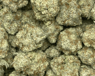 STRAWBERRY GLUE (EXOTIC) - Image 2