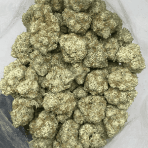 STRAWBERRY GLUE (EXOTIC) - Image 3