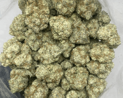 STRAWBERRY GLUE (EXOTIC) - Image 3