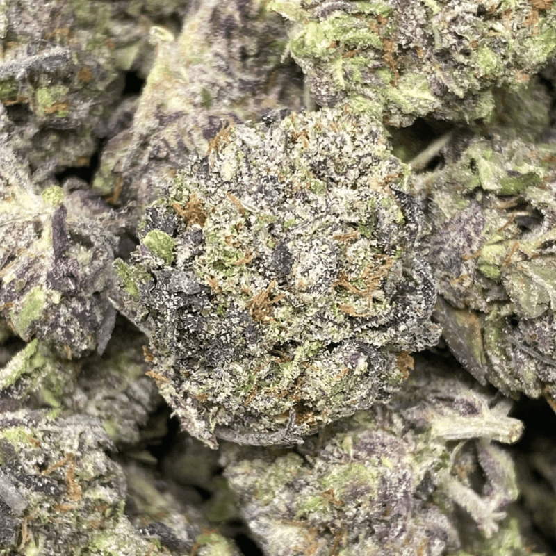 BLACK GAS SMALLS (3) BLACK GAS SMALLS
