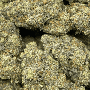 BLUE CHEDDAR LSO (EXOTIC) - Image 2