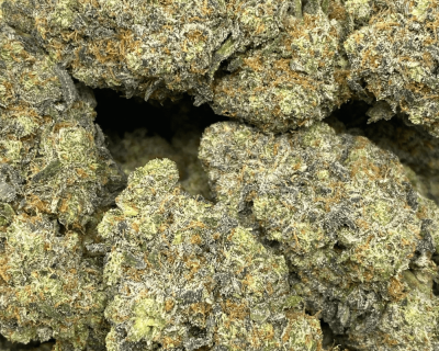 BLUE CHEDDAR LSO (EXOTIC) - Image 2