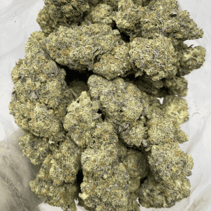 BLUE CHEDDAR LSO (EXOTIC) - Image 3