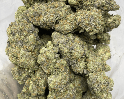 BLUE CHEDDAR LSO (EXOTIC) - Image 3