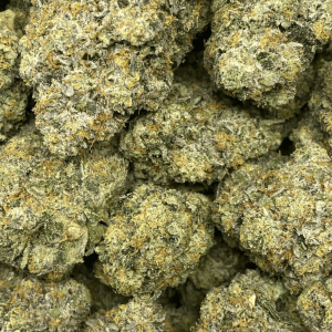 BANANA BUTTER CUP LSO (EXOTIC SALE) - Image 2