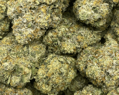 BANANA BUTTER CUP LSO (EXOTIC SALE) - Image 2