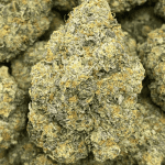 BANANA BUTTER CUP LSO