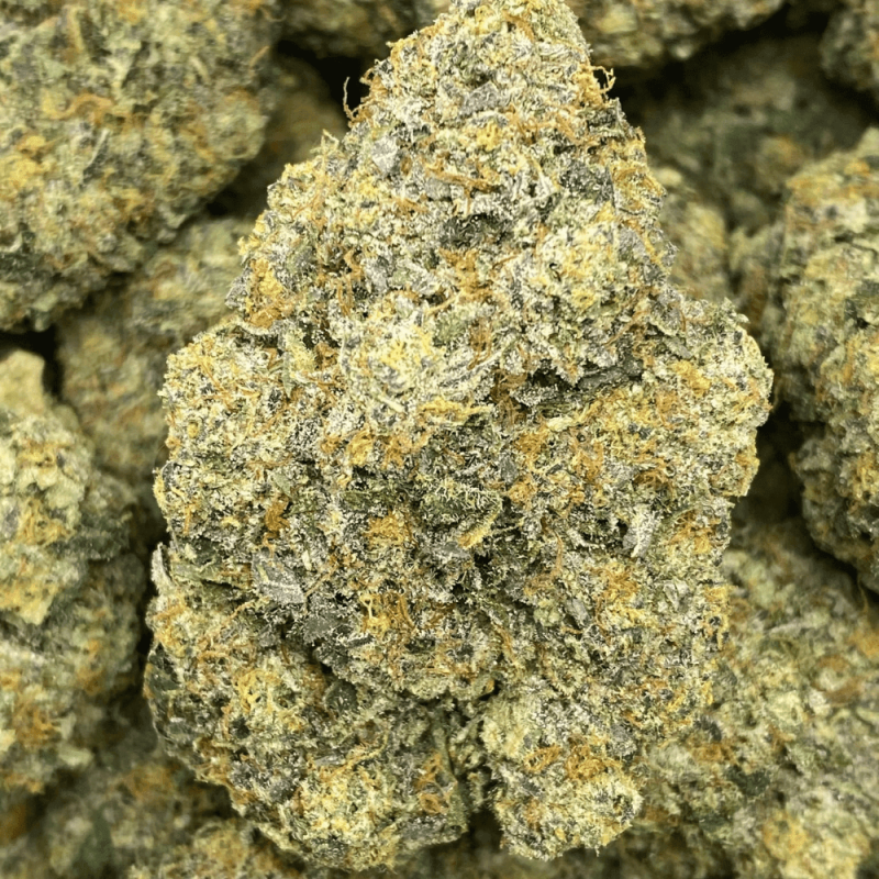 BANANA BUTTER CUP LSO