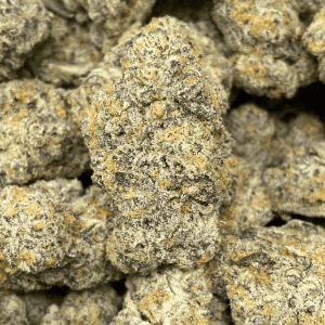 CARIBBEAN BREEZE LSO (EXOTIC) - Image 1