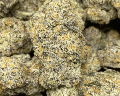 CARIBBEAN BREEZE LSO (EXOTIC) - Image 1
