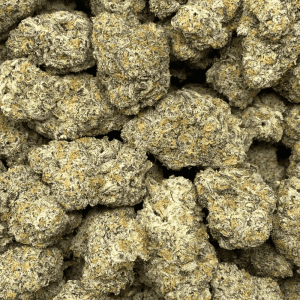 CARIBBEAN BREEZE LSO (EXOTIC) - Image 2