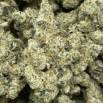 COOKIES AND CREAM LSO