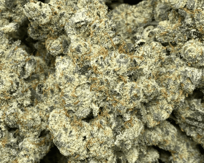 COOKIES AND CREAM LSO