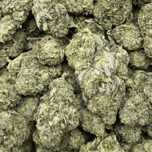 GREASY ROCKSTAR SMALLS (GAS DEAL) - Image 2