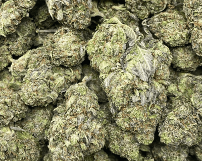 GREASY ROCKSTAR SMALLS (GAS DEAL) - Image 2