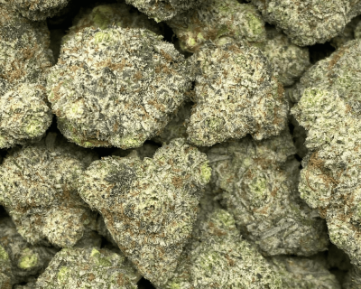 GRAPE KRYPTONITE (EXOTIC) - Image 2