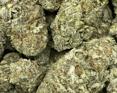 HAWAIIAN NUKEN