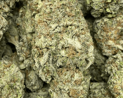 HAWAIIAN NUKEN (EXOTIC) - Image 2