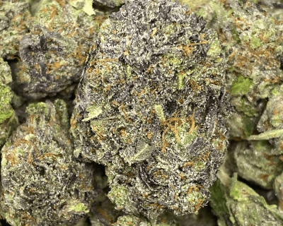 HINDU KUSH SMALLS
