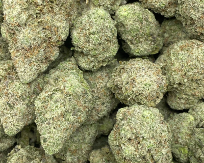 LEMON SKITTLEZ (EXOTIC) - Image 2