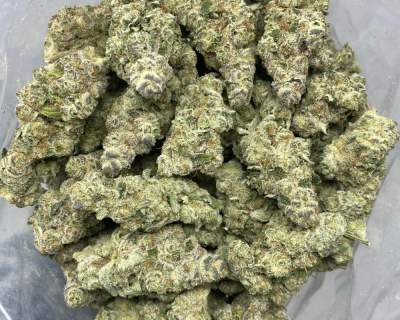 MAUI WOWIE LSO (EXOTIC) - Image 3