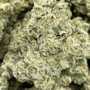 MAUI WOWIE LSO