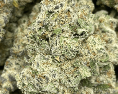 MAUI WOWIE LSO