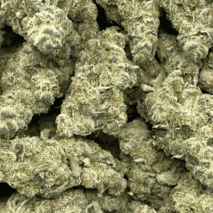 MAUI WOWIE LSO (EXOTIC) - Image 2
