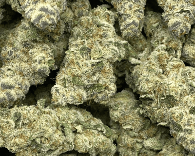 MAUI WOWIE LSO (EXOTIC) - Image 2