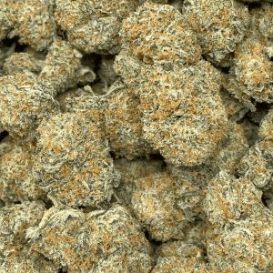 PANCAKE MIX (EXOTIC) - Image 2