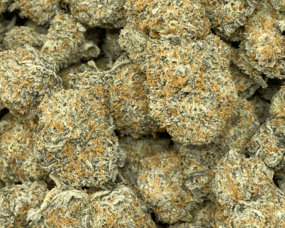 PANCAKE MIX (EXOTIC) - Image 2