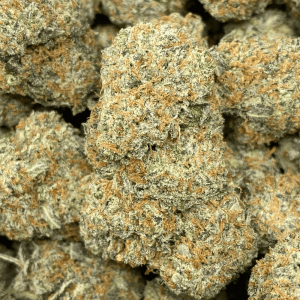 PANCAKE MIX (EXOTIC) - Image 1