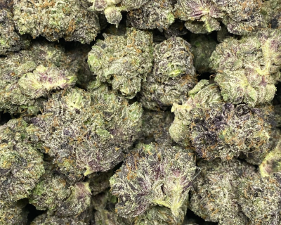 PINK MASTER SMALLS (GAS DEAL) - Image 2
