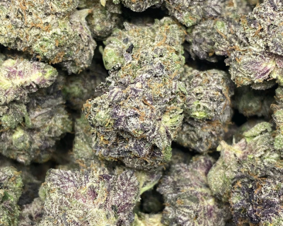 PINK MASTER SMALLS