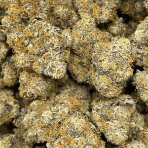 PERMA FUNK LSO (EXOTIC) - Image 2