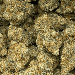 POPSCOTTI LSO (EXOTIC DEAL) - Image 2