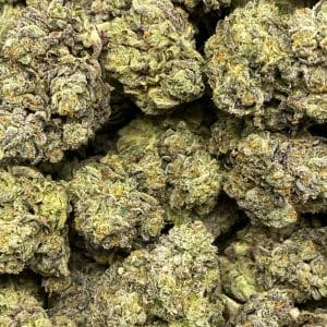 SCROOGE #2 (EXOTIC) (HEAVY PIGEON SALE) - Image 1