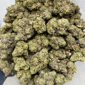 SCROOGE #2 (EXOTIC) (HEAVY PIGEON SALE) - Image 2