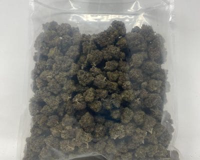 SCROOGE #3 (EXOTIC) (HEAVY PIGEON SALE) - Image 4