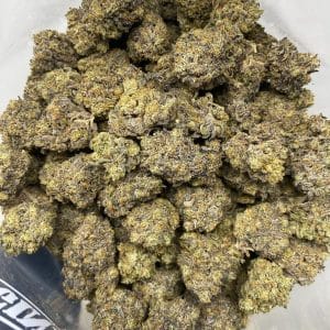 SCROOGE #3 (EXOTIC) (HEAVY PIGEON SALE) - Image 3
