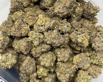 SCROOGE #3 (EXOTIC) (HEAVY PIGEON SALE) - Image 3